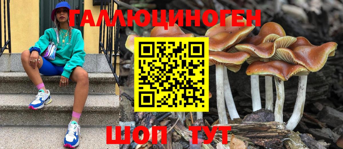 Псилоцибиновые грибы прущие грибы  Вход с VPN  Калининград  Псилоцибиновые грибы Psilocybine cubensis 